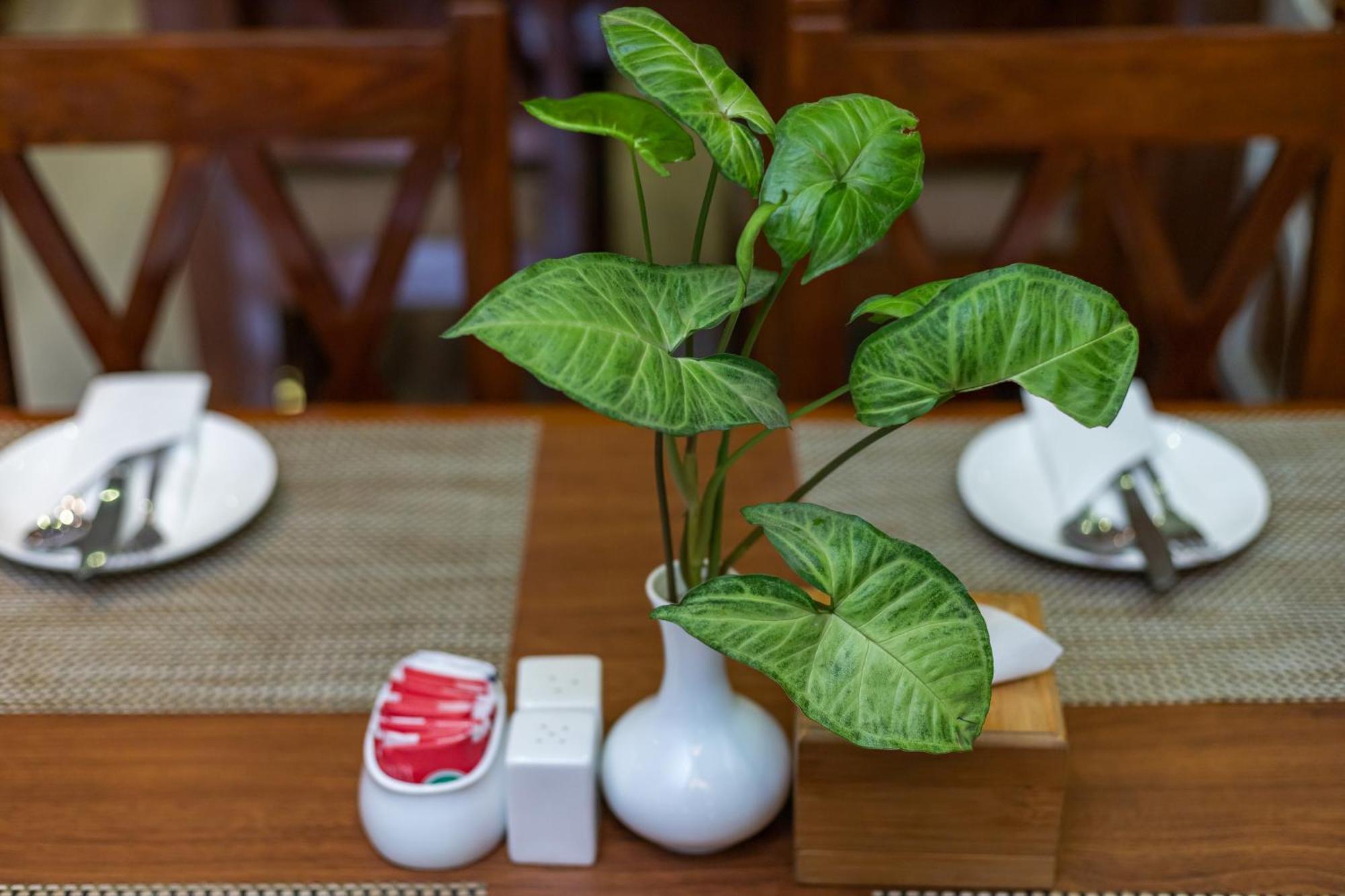 Hotel Haven O' Ganga Pokhara Eksteriør billede